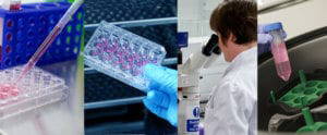 Image of Cellular Uptake Study Banner