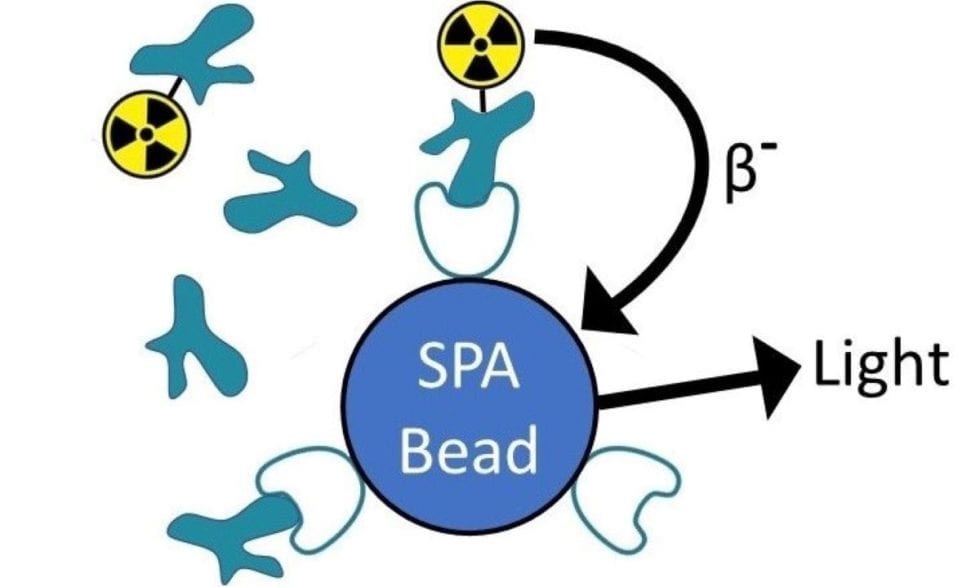 Radioligand Binding Assay Services Gifford Bioscience