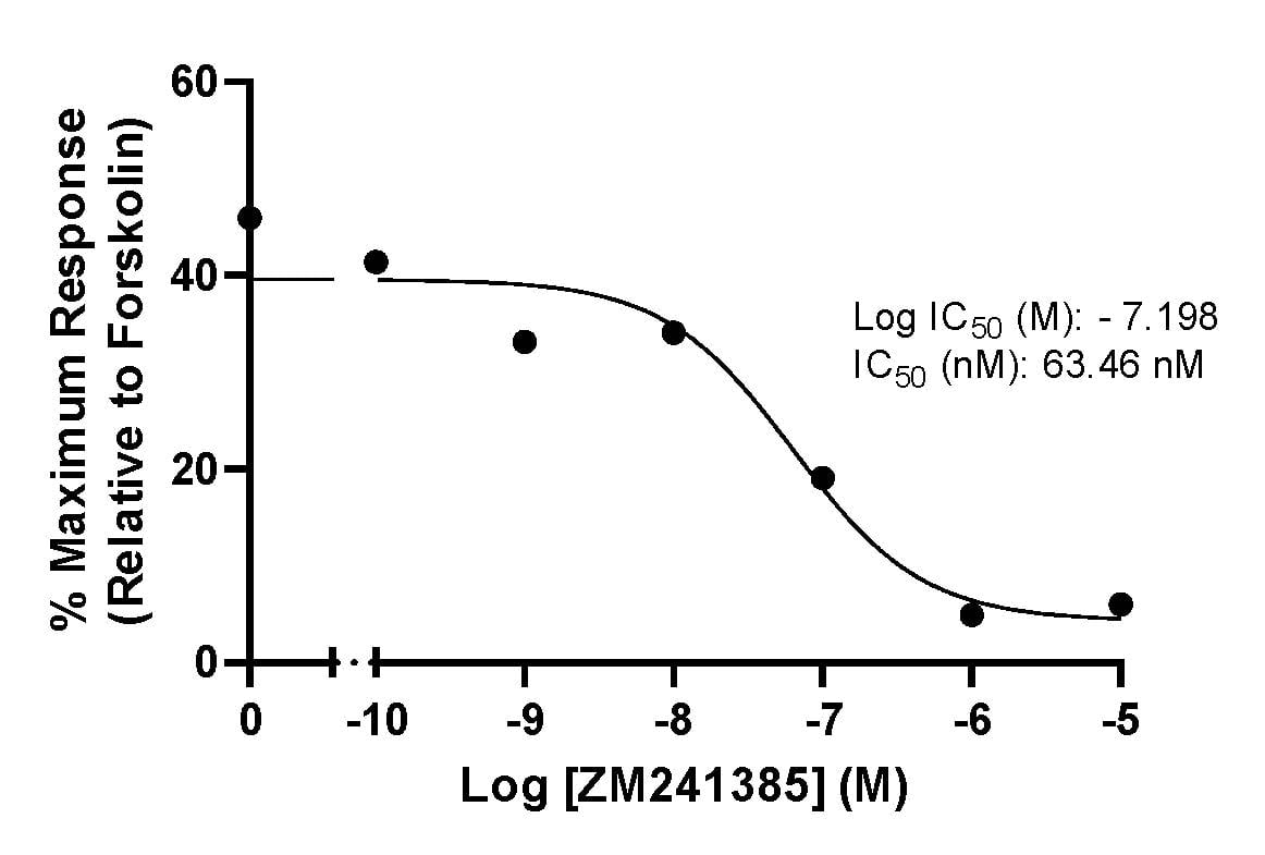 Functional Assays | Gifford Bioscience